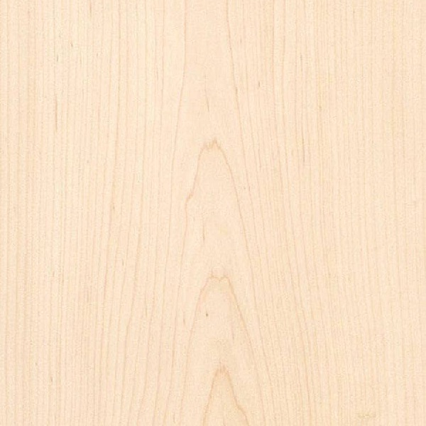 Maple Veneer